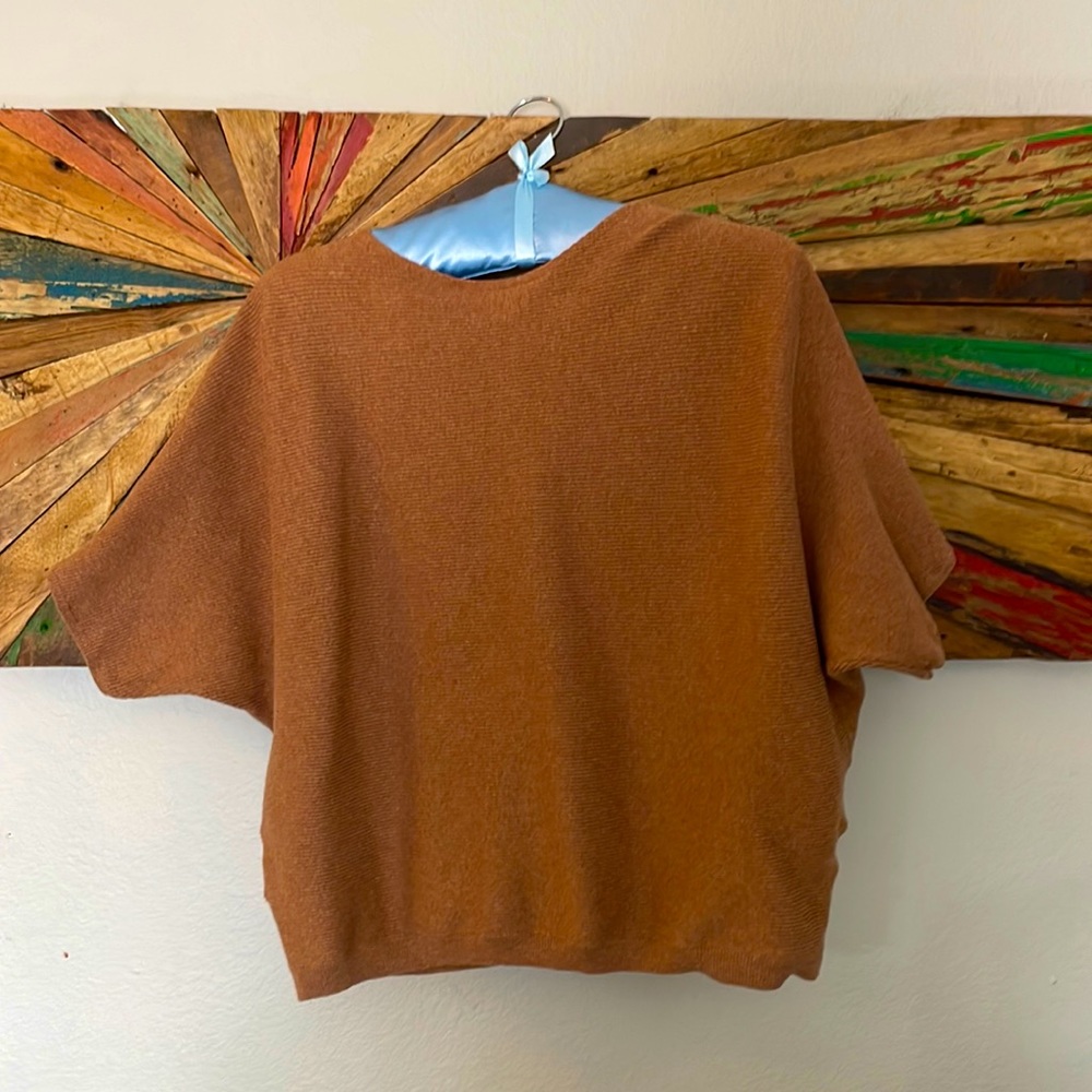 The Reset/R Label size L/XL short sleeved sweater. Beautiful camel color!